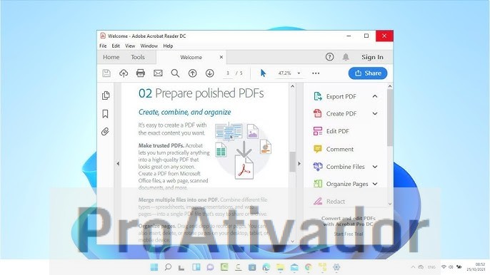 Adobe Acrobat Reader Crackeado 2025.001.20813 Pro PT-BR