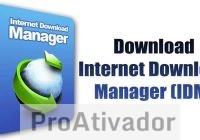 Internet Download Manager IDM 6.42 Crackeado 2026 Ativado 56
